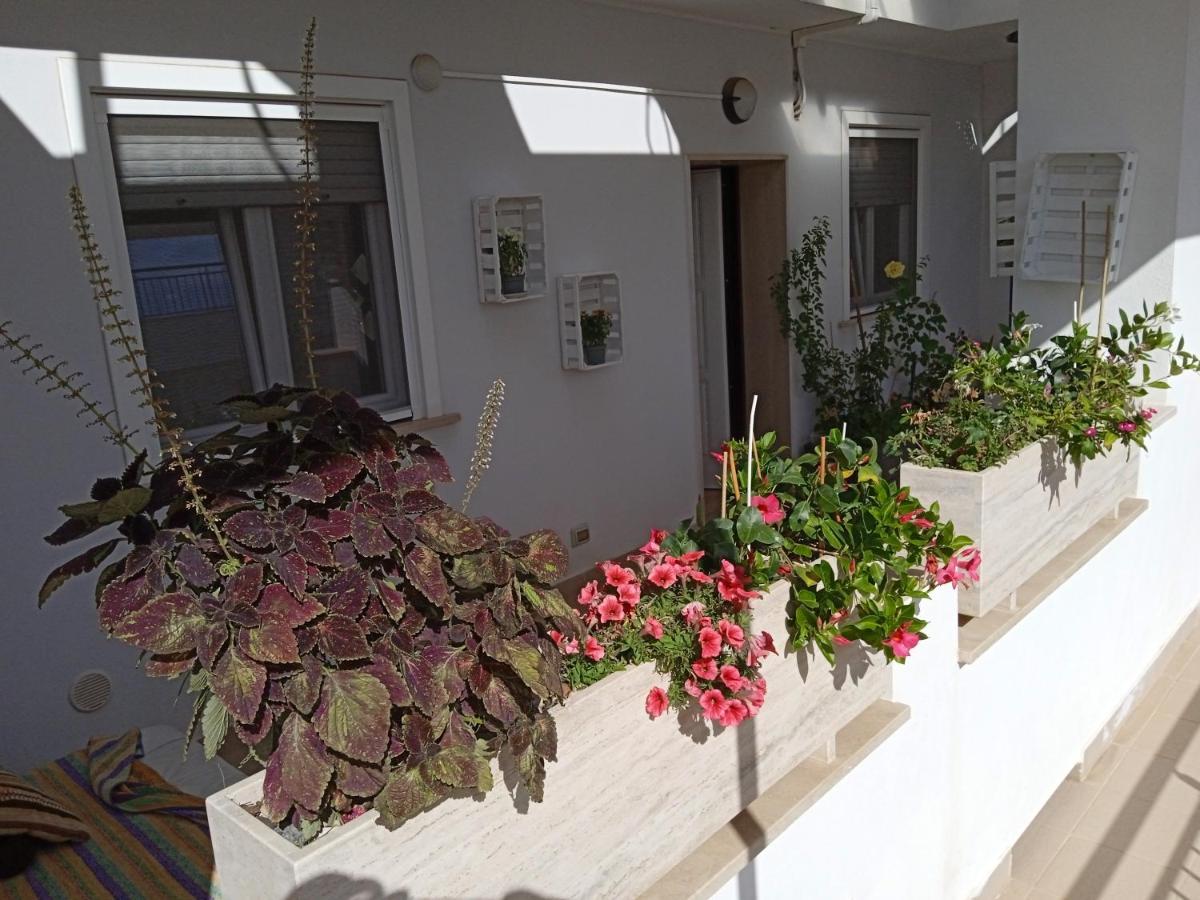 La Casa Di Elena Apartment Sannicandro di Bari Exterior photo