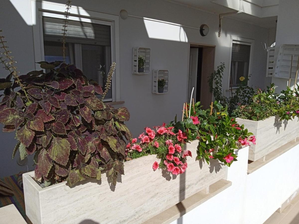 La Casa Di Elena Apartment Sannicandro di Bari Exterior photo